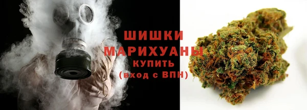ешки Осинники